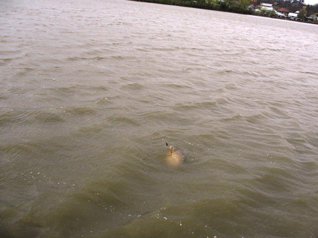 Moara Vlasiei 2 6 - 7 apr. - 13.jpg